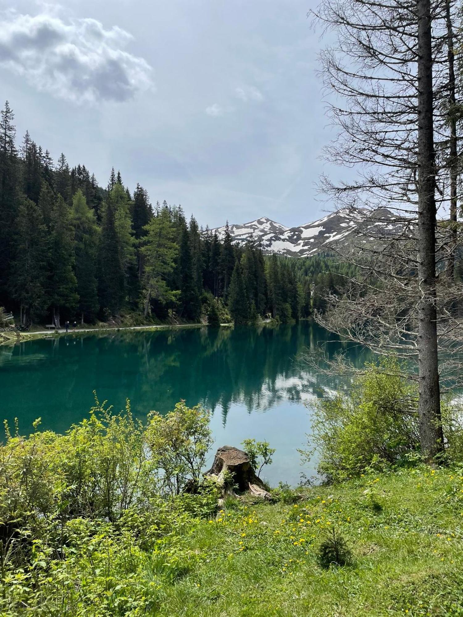 Ferienwohnung Mondial Neustift im Stubaital Eksteriør billede
