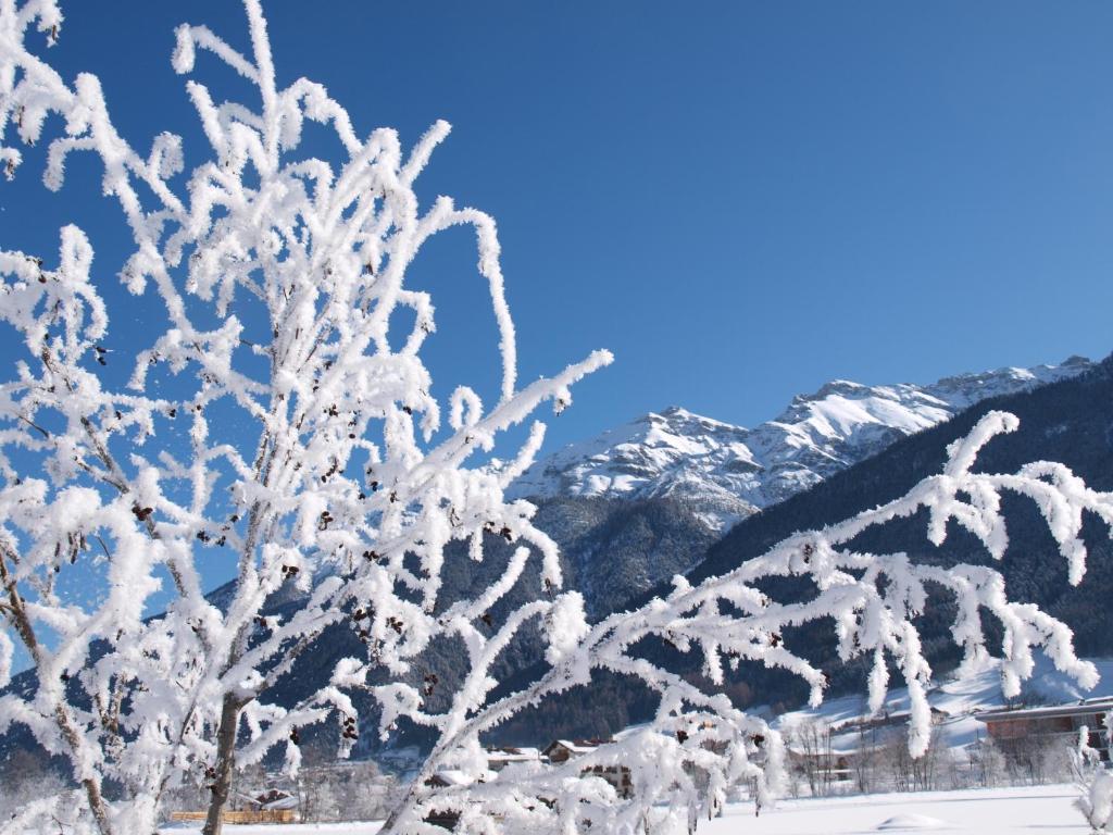Ferienwohnung Mondial Neustift im Stubaital Eksteriør billede